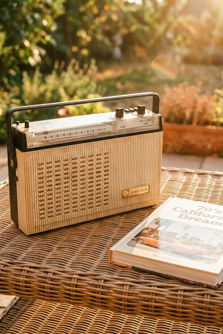 Transistor Bluetooth Schneider Vintage de 1962 (Alternate)