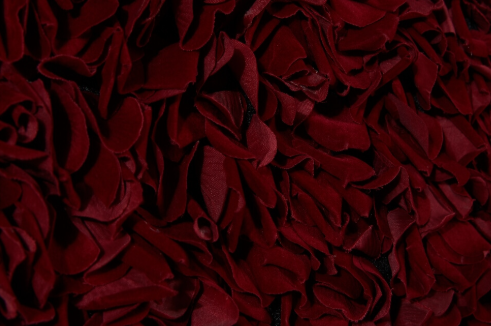PETAL DOT (Alternate)
