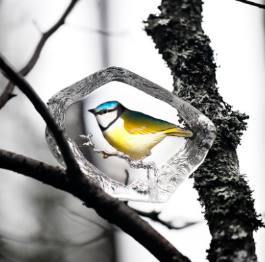 Blue-tit (Alternate)