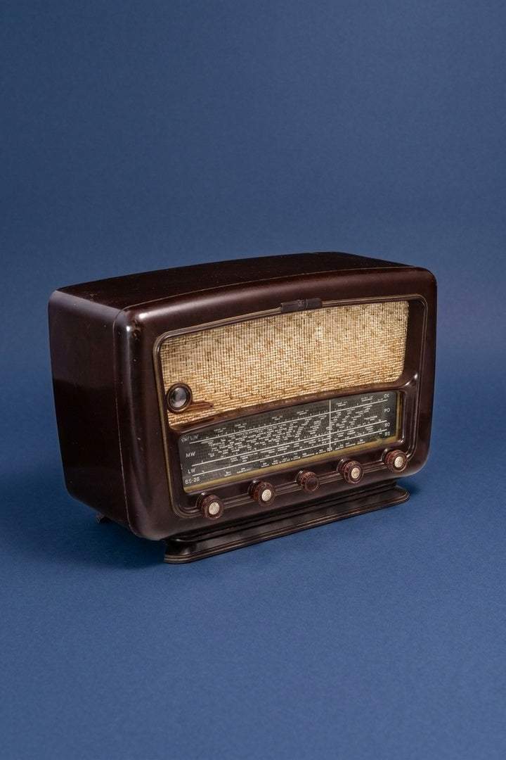 Radio Bluetooth Schneider Vintage de 1954