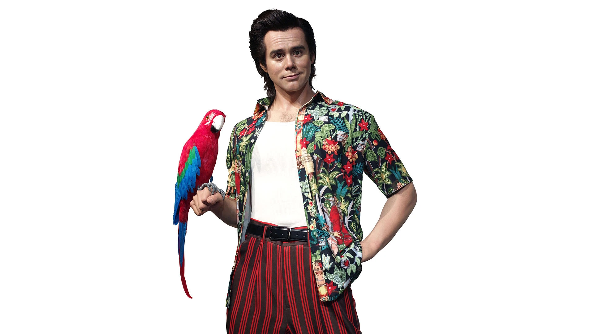 Realistic Wax Mannequin of Famous Hollystar Jim Carrey | DXDF, Grand Orient Wax Figure (Alternate)