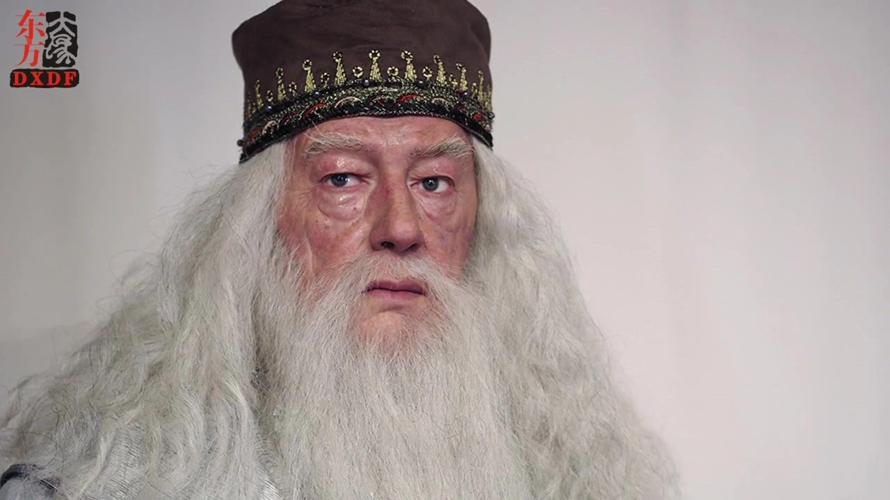 Realistic Lifelike Customize Wax Figures of Harry Potter's Character Dumbledore | DXDF, Grand Orient Wax Figure