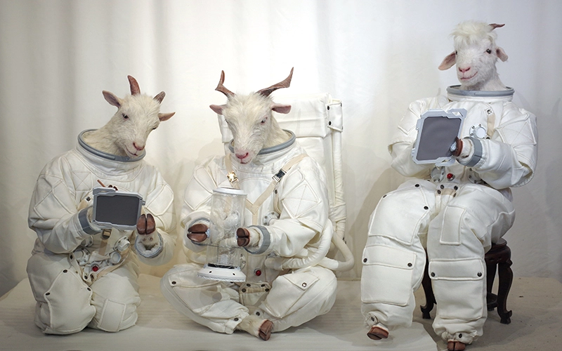 Private Custom Made Indoor Display Lifelike Cosmonaut Sheep Wax Mannequin | DXDF, Grand Orient Wax Figure