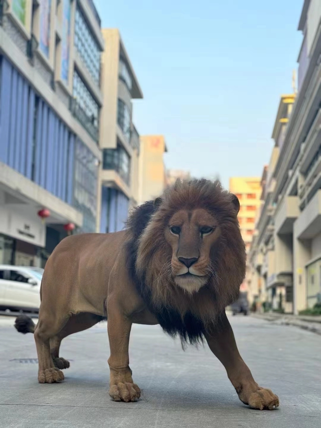 Customized Private Customized Lifelike Realistic Lion Sculpture manufacturers From China | DXDF，Grand Orient Wax Figure (Alternate)