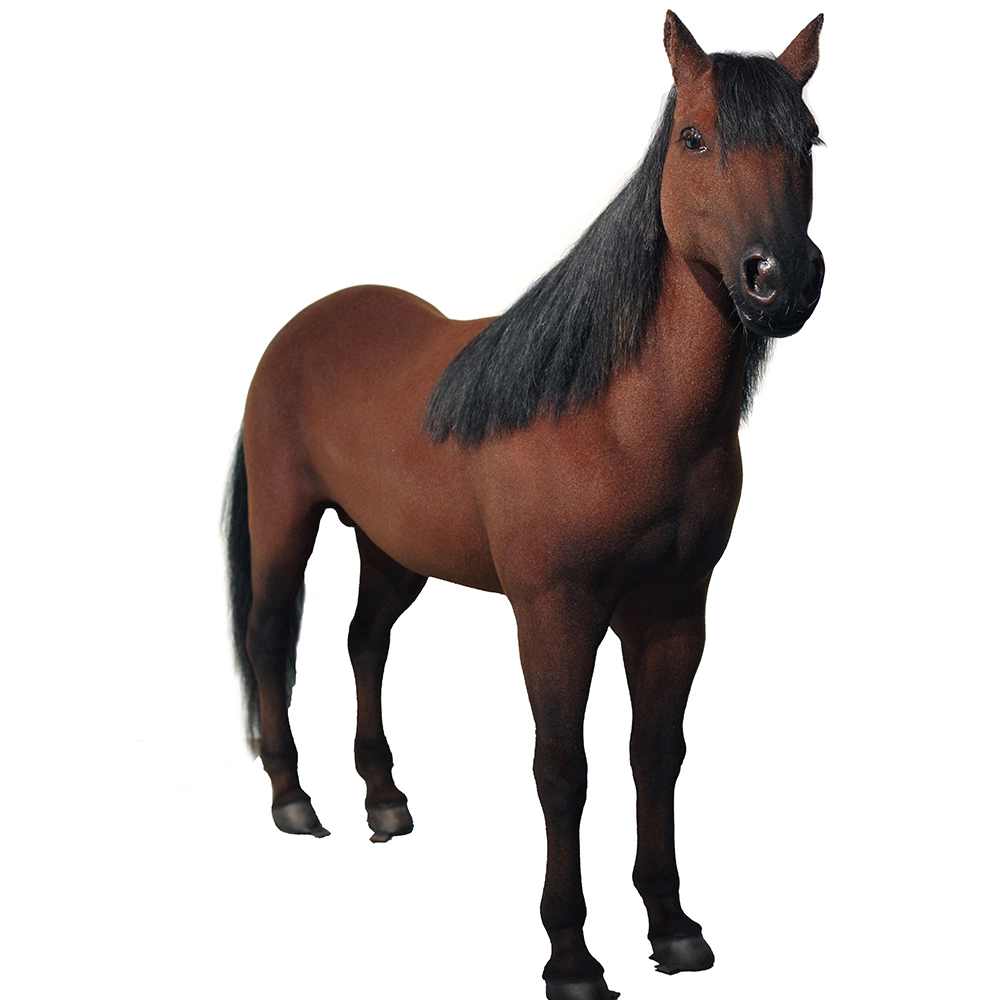 Best Customized Lifelike Realistic horse Sculpture Manufacturers From China | DXDF，Grand Orient Wax Figure