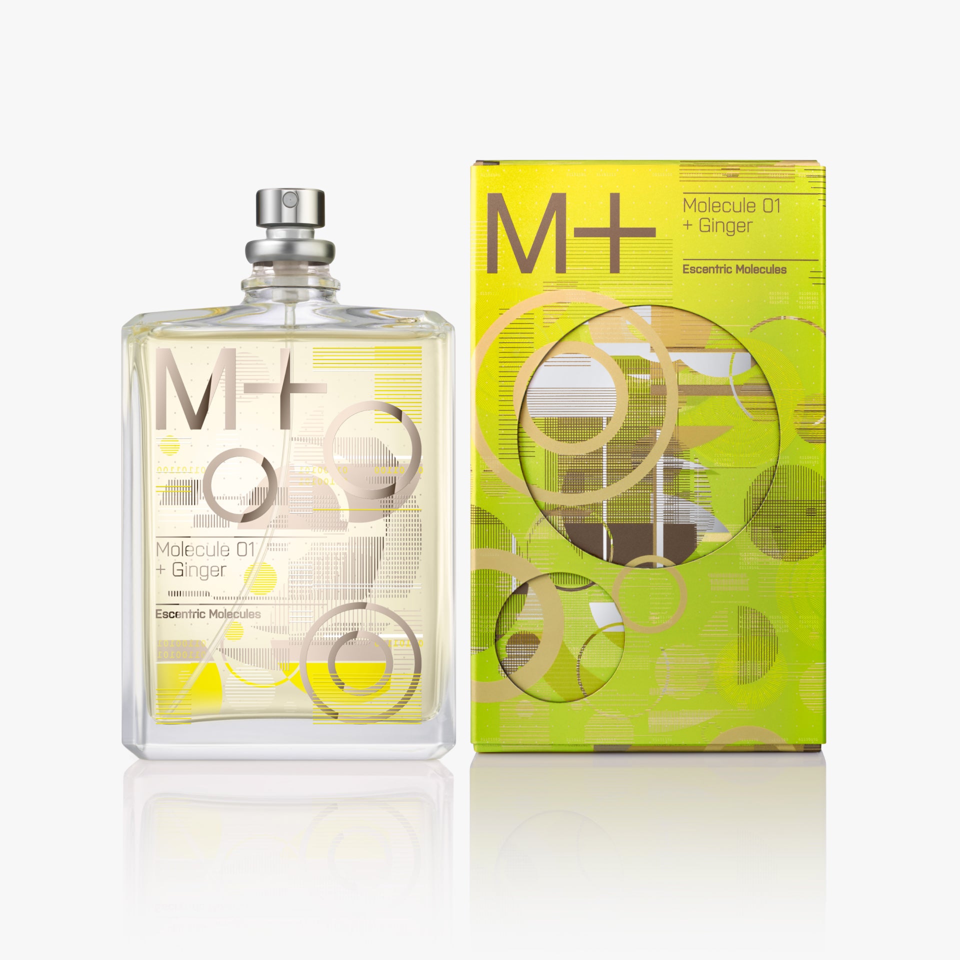 Molecule 01 + Ginger (Alternate)