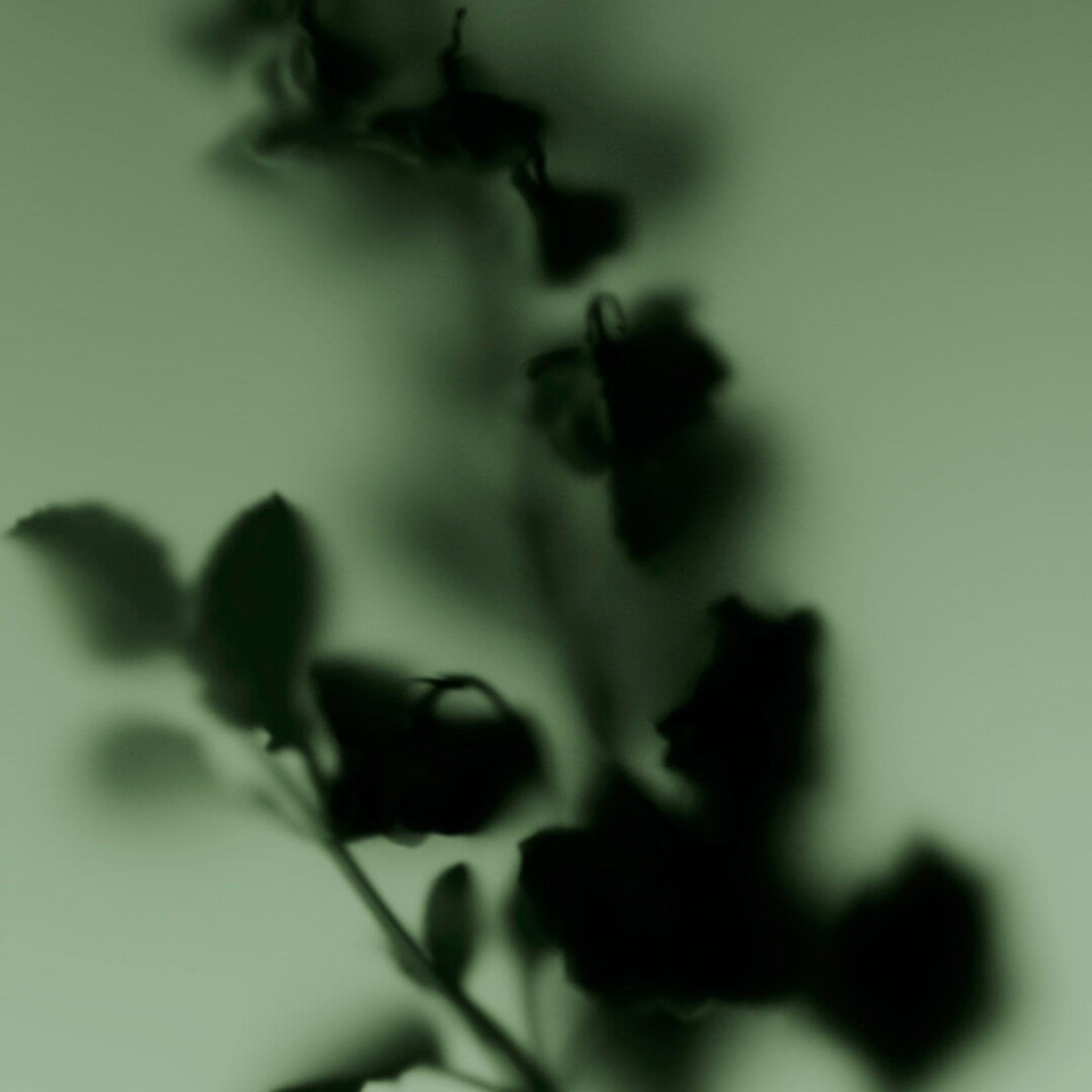 Molecule 01 + Clary Sage (Alternate)