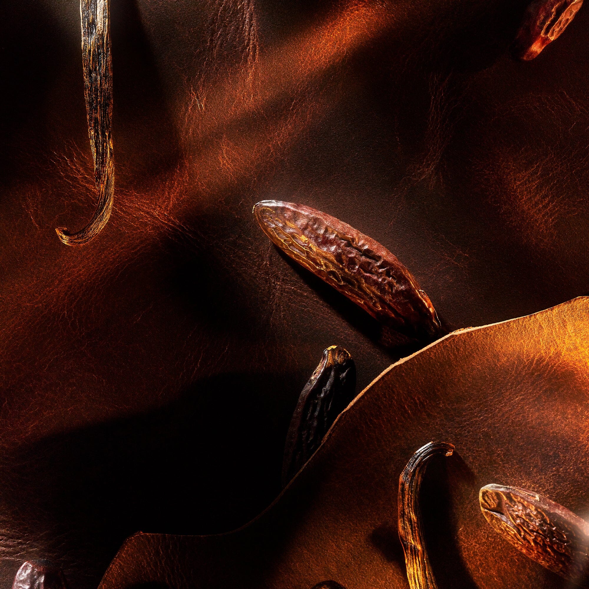 Parfum De La Nuit 1 (Alternate)