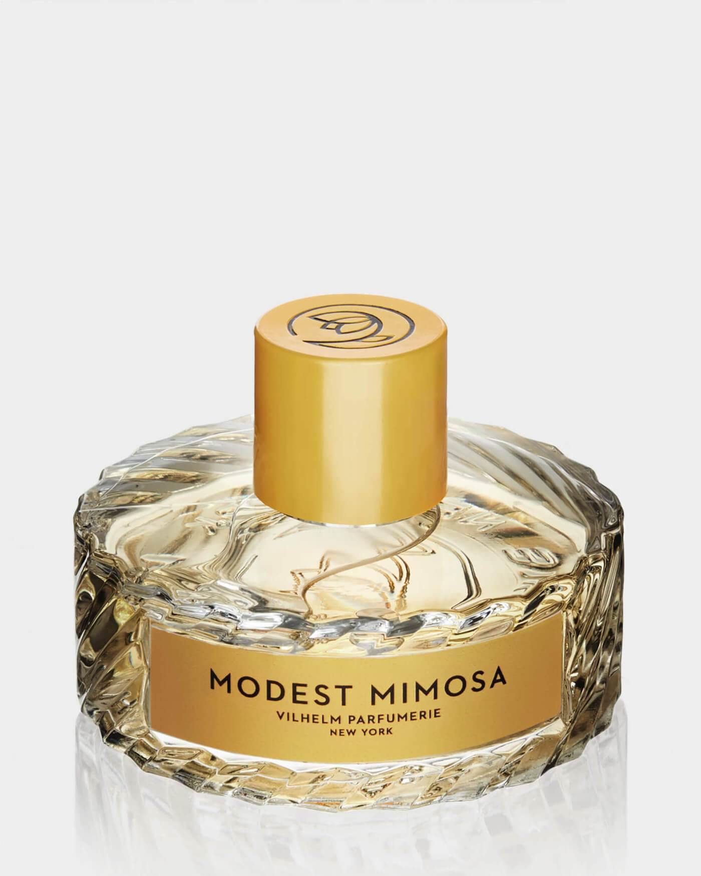 MODEST MIMOSA (Alternate)